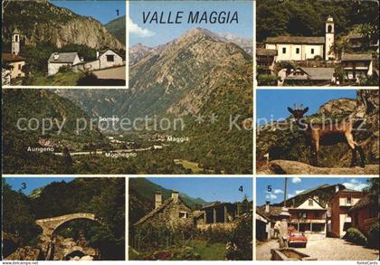 Valle Maggia Avegno Riveo Ponte Romano Ronchini Maggia