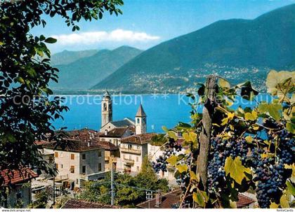 Vira Gambarogno Panorama