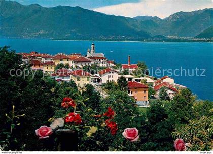 Vira Gambarogno Panorama Lago Maggiore Alpen Rosen