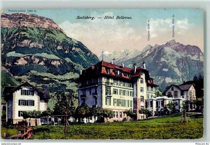 6377 Seelisberg - 10205455