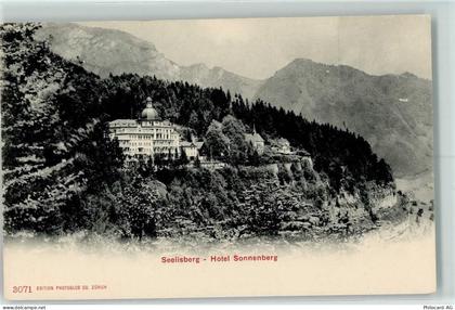 6377 Seelisberg - 10205481