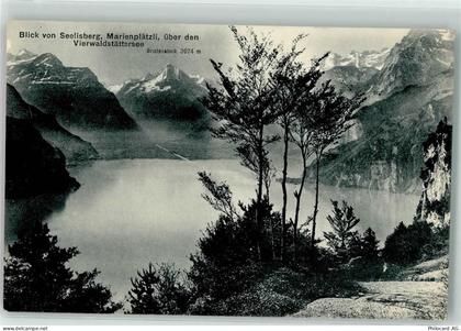 6377 Seelisberg 1911 - Vierwaldstättersee - 39404792