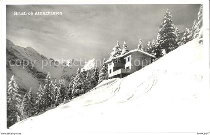 Brusti Attinghausen Berghaus Surenen