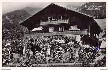 Suisse - CHÂTEAU D'OEX (VD) Pension Borgeaud - Ed. Devaux