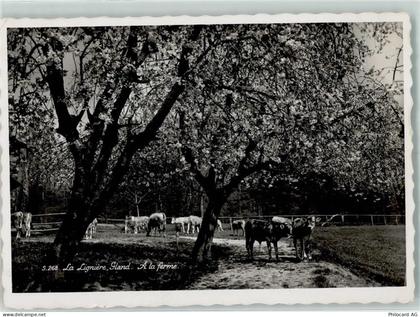 1196 Gland - Kuhweide - 10305199