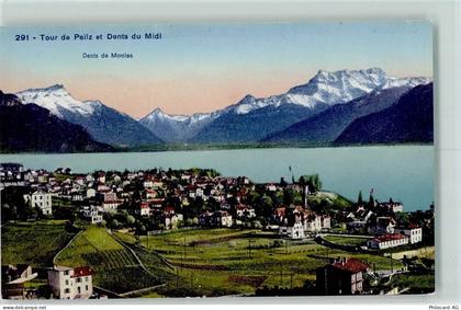 1814 La Tour-de-Peilz - Dents du Midi - 10308642