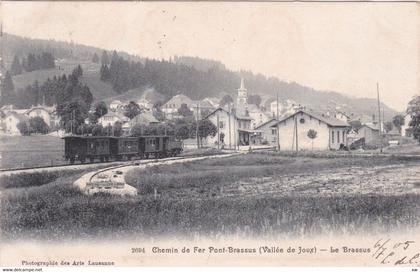 SUISSE - VAUD - LE CHENIT - LE BRASSUS - Chemin de Fer Pont-Brassus - 24-08-24