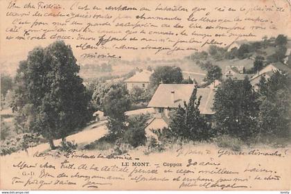Suisse Lausanne Le mont Coppoz CPA cachet 1901 , voir état ci dessous