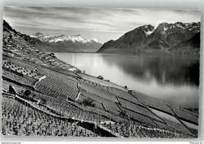 1091 Grandvaux Le Tronchet Foto AK Le Cotau de Lavaux Wein - 38219395