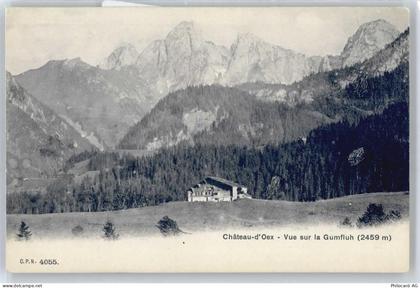 1660 Château-dOex Granges-près-Château-dOex - Berghütte - 50572068
