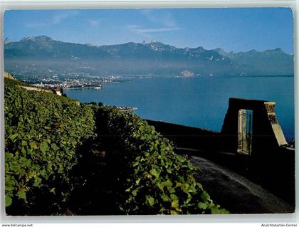 40128650 - Forel (Lavaux)
