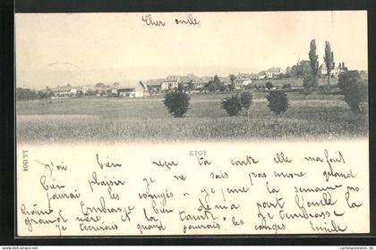 AK Etoy, Vue générale