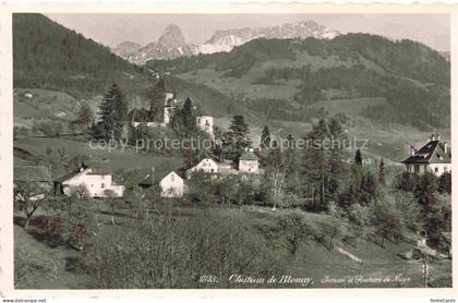 Blonay-Saint-Legier Blonay-sur-Vevey VD Chateau de Blonay Jaman et Rochers de Na