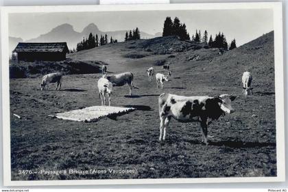 Bretaye - Kuh AKU2 - 50699035