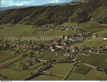 Bursins Fliegeraufnahme