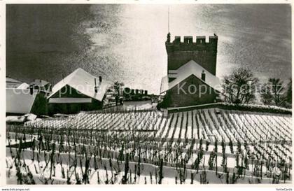 Cully VD Hiver au Treytorrens