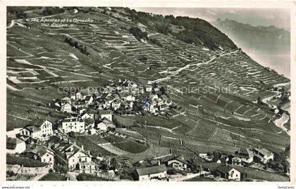Epesses Lavaux VD Fliegeraufnahme