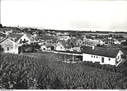 Gilly Rolle Vue generale