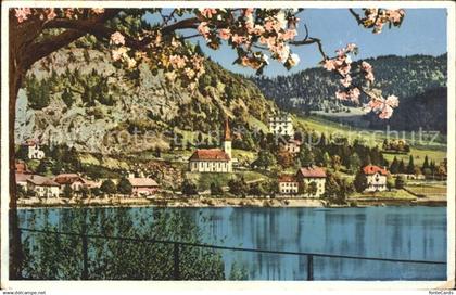 Le Pont VD Lac de Joux Baumbluete