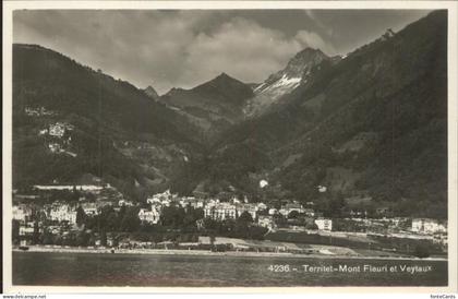 Territet Mont Fleuri Veytaux