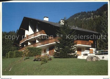 Villars Chesieres Chalet Les Dauphins