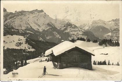 Villars  Chesieres VD Skihuette Alpenblick