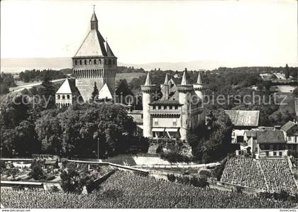 Vufflens-le-Chateau Panorama