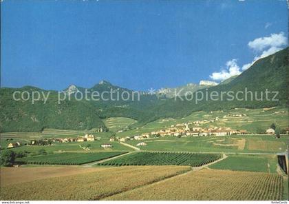 Yvorne Panorama