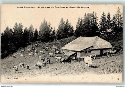 1820 Veytaux 1905 - Stall Kuhherde - 10605477