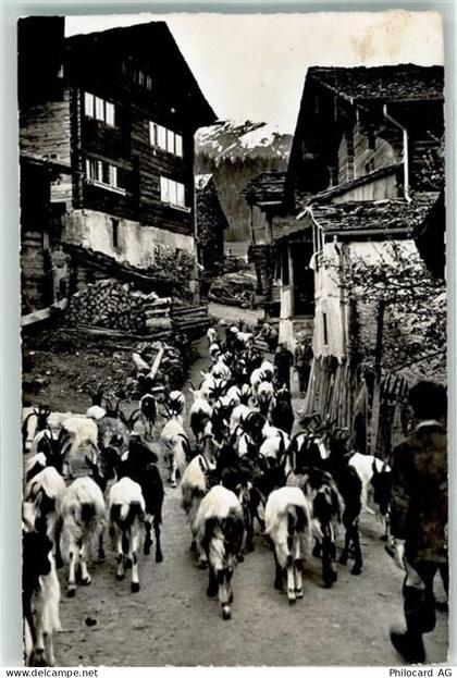 3984 Fiesch - Auszug der Ziegen - 39497320