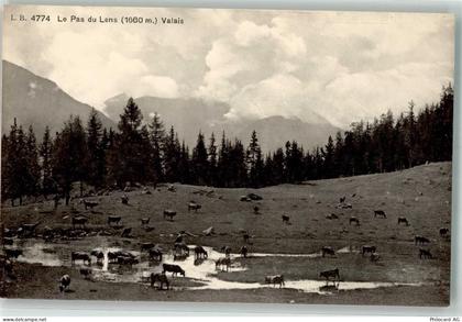 1978 Lens - Kuhherde - 39694692