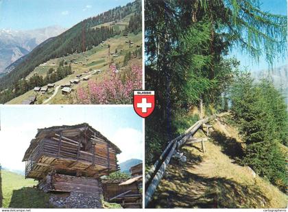 A5540 Switzerland Mayens de Riddes Valais multi view