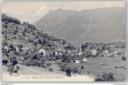 50991083 - Salvan