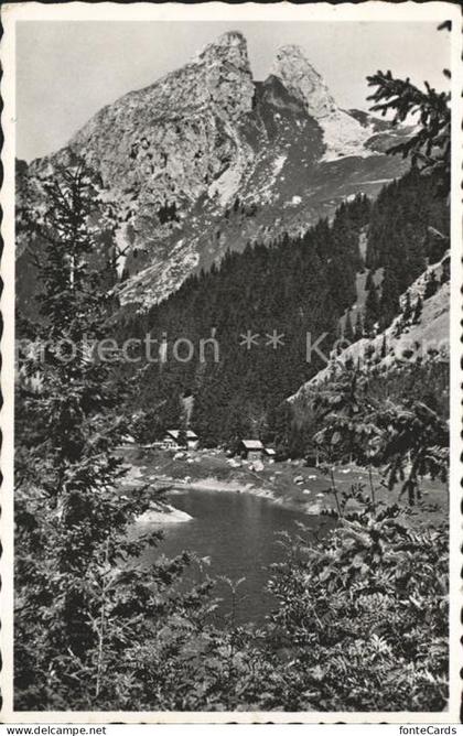 Chambairy Lac Tannay Jumelles