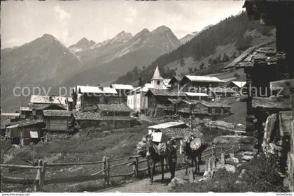 Loetschental Wiler Rothoerner Esel