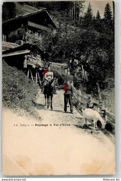 1873 Val-dIlliez 1905 - Bauernfamilie mit Ziege - 10601663