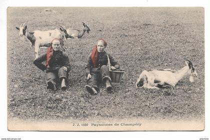 suisse CPA   PAYSANNES de CHAMPERY ( valais)  ecrite n0206
