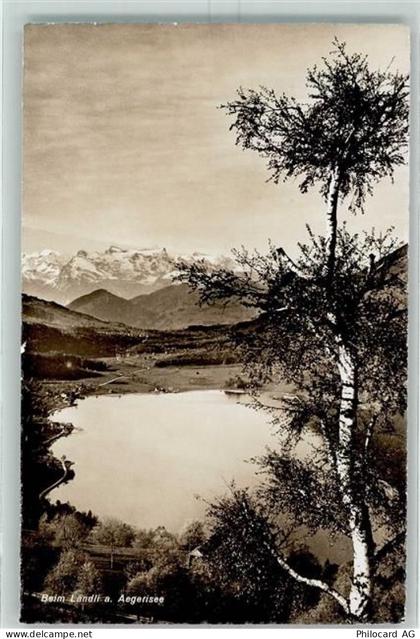 Aegerisee 1944 - Beim Ländli - 10391006