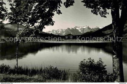Aegerisee aegerisee Unteraegeri Unter-Aegeri ZG mit Urirotstock