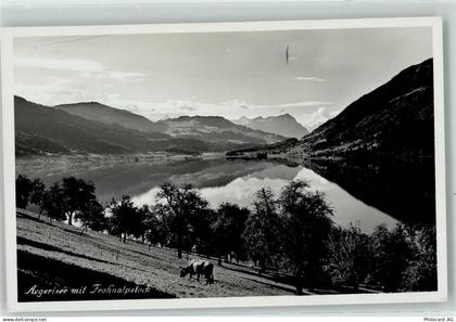 Aegerisee - Frohnalpstock - 39407582