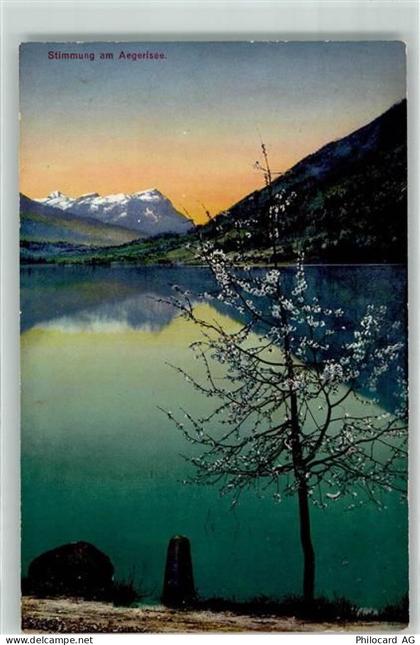 Aegerisee - Stimmung am See - 39377772