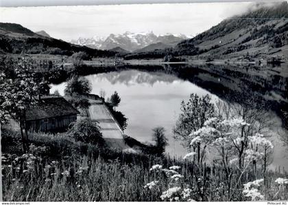 Aegerisee - Urirotstockgruppe - 50799419