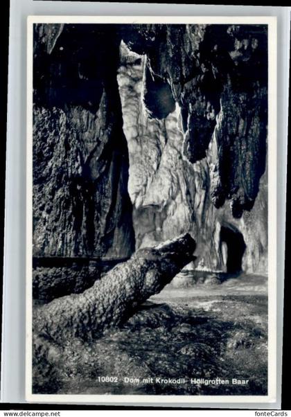 Baar ZG Baar Dom mit Krokodil Hoellgrotte