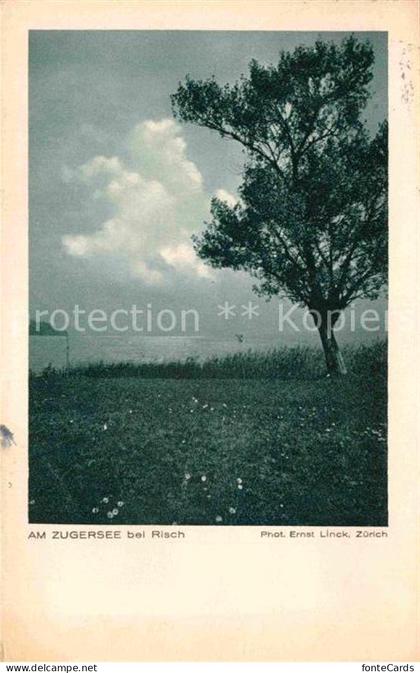 Risch Am Zugersee
