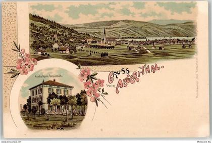 6314 Unterägeri Lithographie Kinderheim Kirche - 52098178