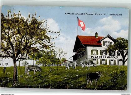 8494 Bauma - Kurhaus Schindlet-Bauma - 10694465