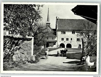 8608 Bubikon Foto AK Schafe Huhn Foto Honegger - 39702748