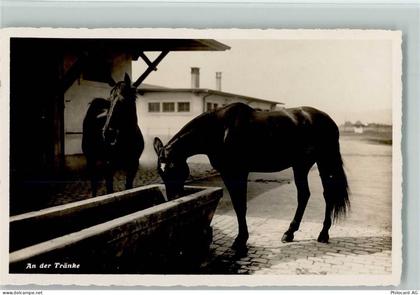 8180 Bülach - An der Tränke Pferde - 13112098