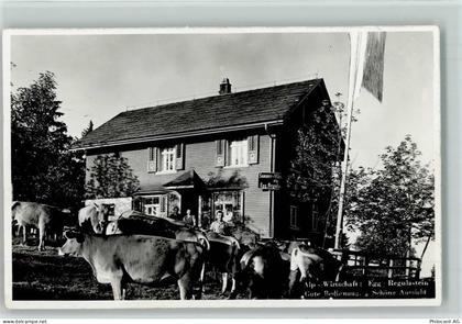 8132 Egg bei Zürich - Alp-Wirtschaft Kühe - 13110426