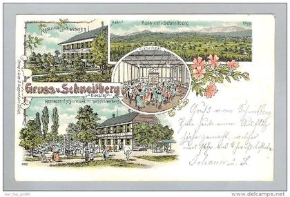 AK ZH Schneitberg b.Elgg 1902-04-01 Litho Guggenheim #5329